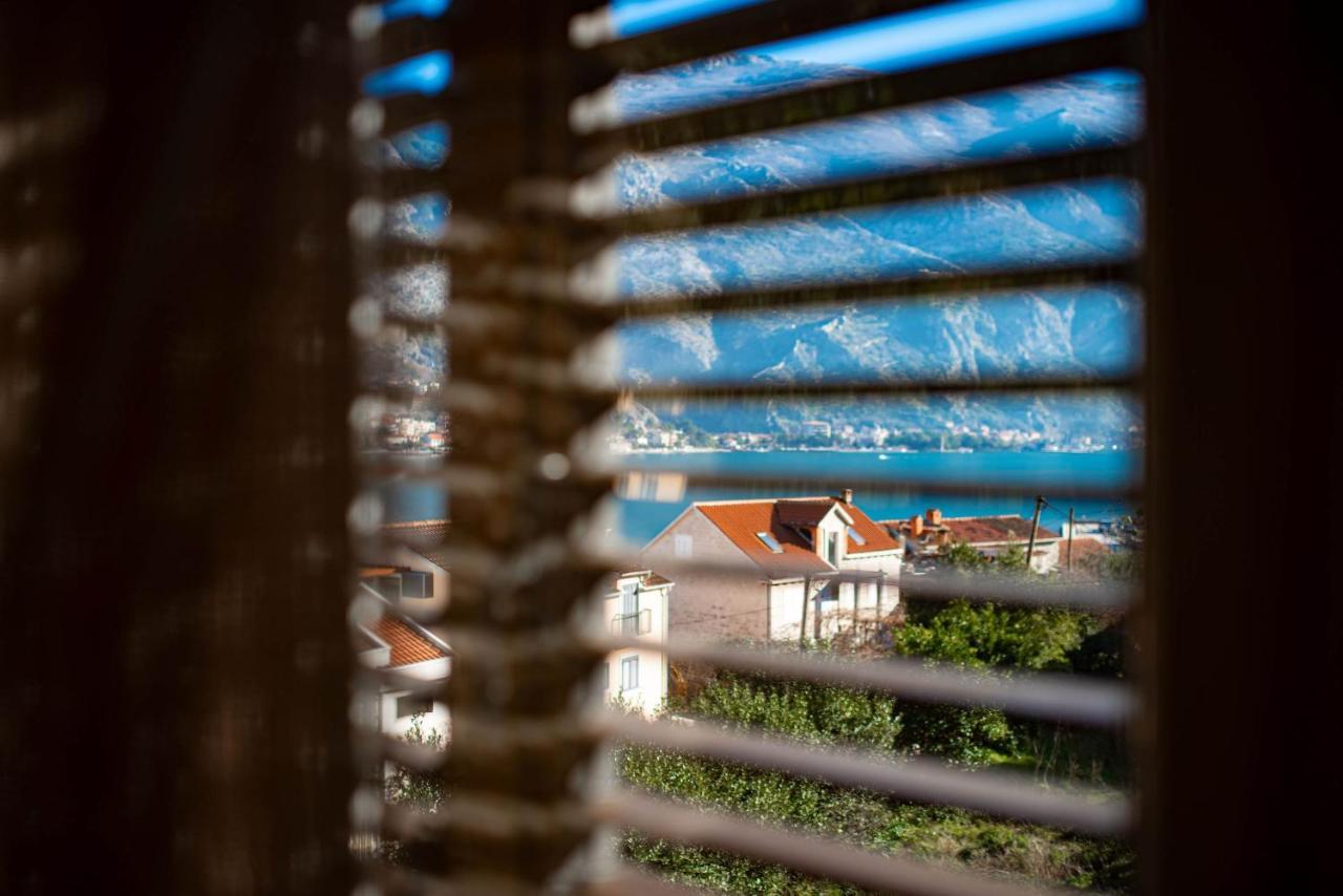 Apartments Markovic Kotor Dış mekan fotoğraf